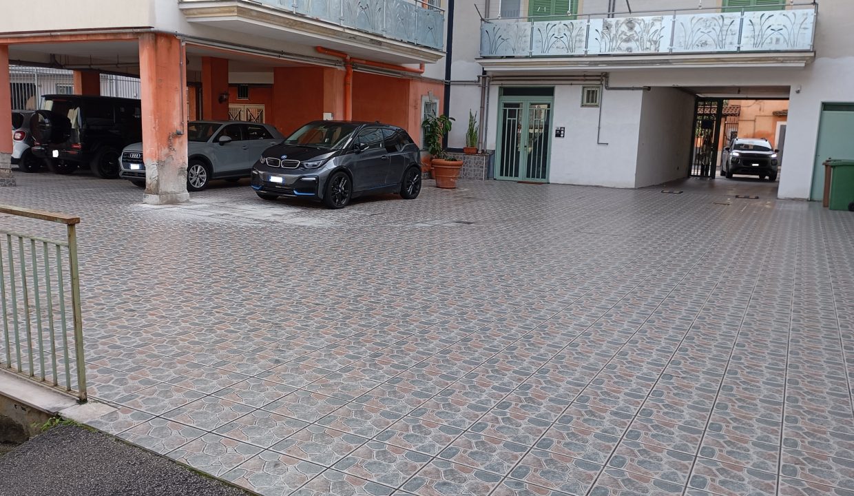 IMG_20250227_093958